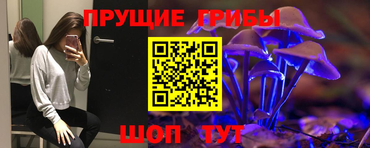 Псилоцибиновые грибы мухоморы Калининград